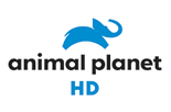 Animal Planet HD Logo